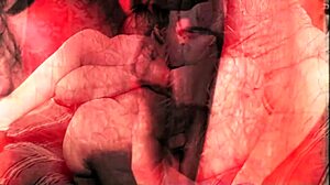 Everything Has Changed In My Secret Life!