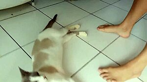 latina amateur sarah rosa gets horny and shows cute ass and pussy in homemade sex