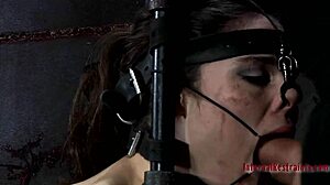 BDSM Website Content