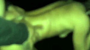 The Best Parties In Group Activities