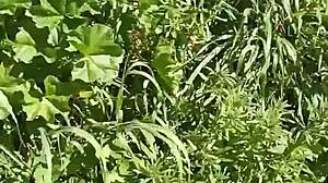 gretala gets excited in the meadow cave and squirts hard