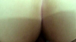 hey, wanna see the perfect bunda of novinha l doll getting slammed in anal action?