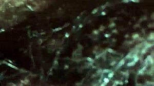 morning sex with my wife