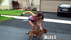 mofos scene with kaylee quinn getting big tits pounded in pov blowjob