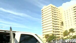 Sexy gay guys having passionate sex together