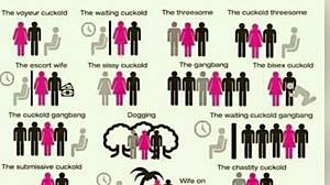 Cuckold films his wife with a hot prostitute sitting on his cock passionately.