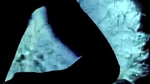 Emotional Journey Through Vintage Swinging Sixties