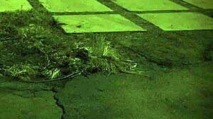 Wow, nothing beats outdoor BDSM and public doll domination!