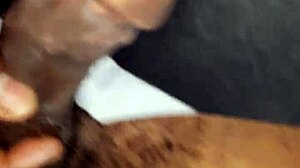 Hard dick for horny ladies black cock