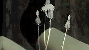 Emotional Journey Through Vintage Swinging Sixties