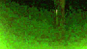 My Sister-In-Law and I