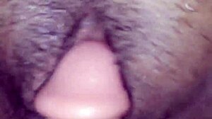 Found my wife masturbating and joined to help her cum.