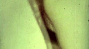 Vintage Family Peeping Adventure