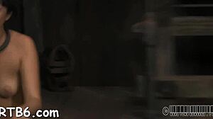 beauty torment porn 😈