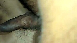 Dando De Frango Assado