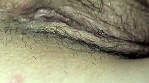 stallion roams the wild plains freely