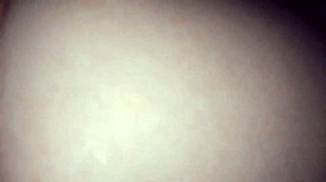 I'm pounding my college colleague's big ass doggystyle so hard!