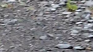 On the highway slurpin my masters pee, flashin as cars ridin pass