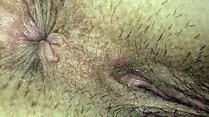 stallion roams the wild plains freely