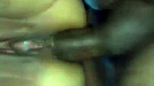 bbw brazilian putinha giving ass in hotel