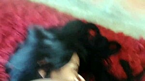 Colombian neighbor gets licked in thanks