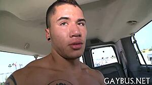 Gay Movie Scene Captures Raw Action in Latest Release