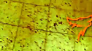 I can’t believe I got a MILF POV blowjob in public with huge cumshot from Dirty Priscilla at WolfWagnerCom!