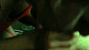 Amateur Slut Talks Too Much During Submissive Blowjob!