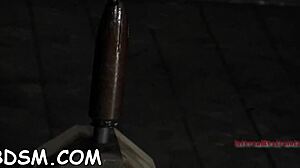 Gagged And Tied Up Serf Is Being Pleasured With Vibrator