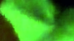 Colombian Venezuelan Slut on Andres Bello Avenue in Caracas