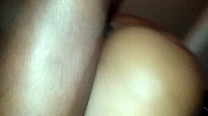 Blacchammer with Big Cock Blowjob and Wet Ebony!