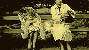 Illustrazione Erotica Vintage