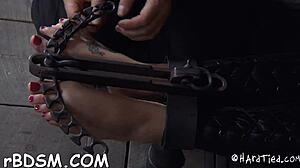 Gal's pussy pleasured inside the cage?