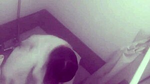 Exploring the mysterious platoons cave adventure.