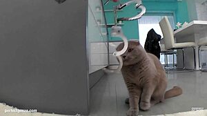 Lucy Heart Receives a Massive Cum Load Deep Inside Her Pussy