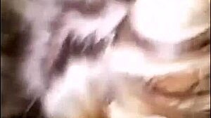 he cums on her massive bbw tits