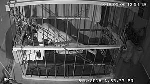 The Cagecam A Non-Edited Downloaded Feed From The Cage