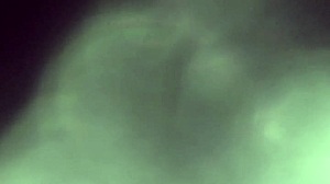 horny milf gives amateur blowjob at home