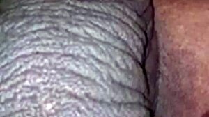 meu casal lindo e aquela buceta gostosa, me acabo nessa buceta gordinha