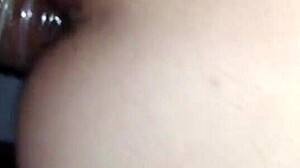 Exploring a wild encounter with a stunning shemale.