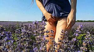 butt plug flashing in lavender fields