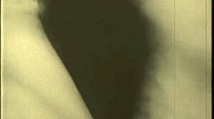 vintage OLD pornography collection