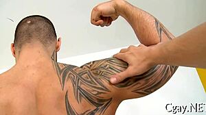 Homosexual in Natures Garb Sex