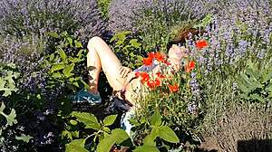 butt plug flashing in lavender fields