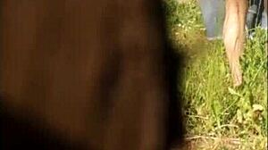 summer is voyeur season for tits