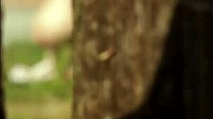 summer is voyeur season for tits