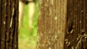 summer is voyeur season for tits