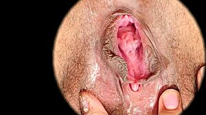 甜蜜毛茸茸阴道高清特写1080p