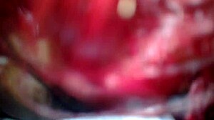 I couldn’t resist giving a hot blowjob in the public park with my daring partner