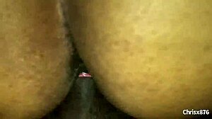 Amateur ebony bbw gets her pussy fucked hard in doggystyle!